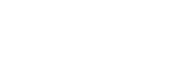 genius-network-fractional-cmo